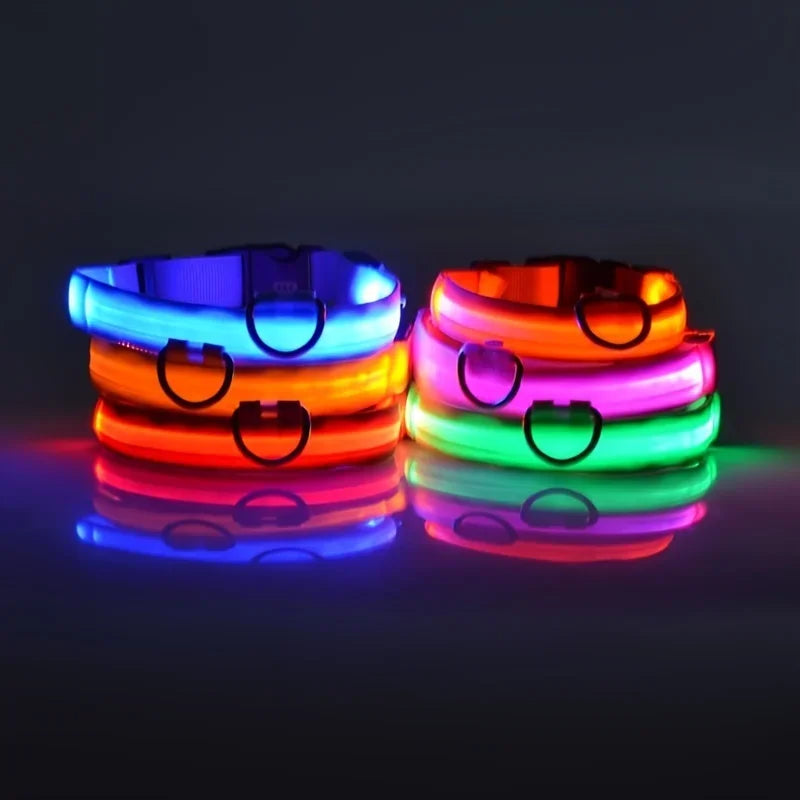 LED Nylon Dog Leash & Collar – Glow-in-the-Dark Safety for Night Walks