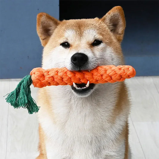 Tough Tug Pup Toy – Carrot Chewer for Clean Teeth & Strong Jaws