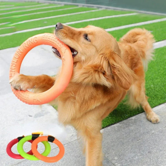 Orange Dog Training Ring – Durable EVA Flying Disk Puller Toy for Interactive Play & Exercise