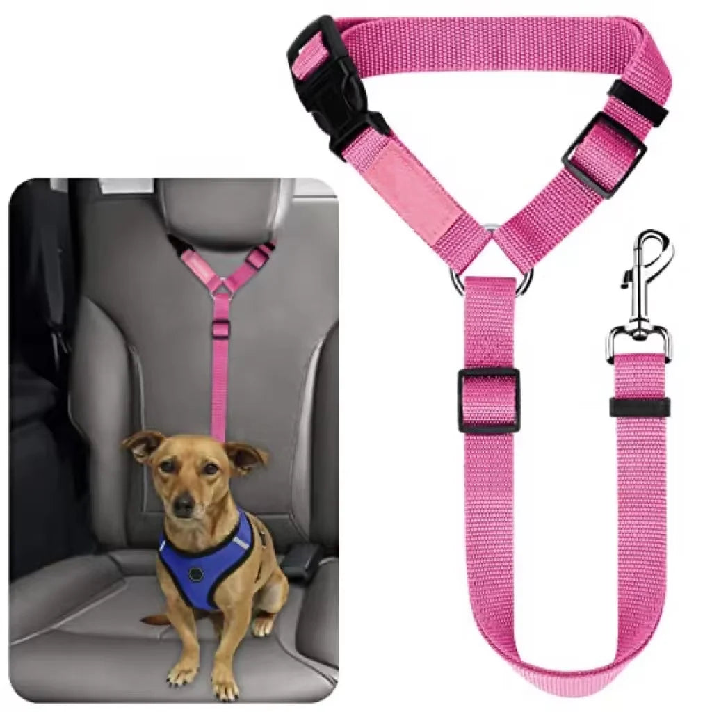 pet seat belt