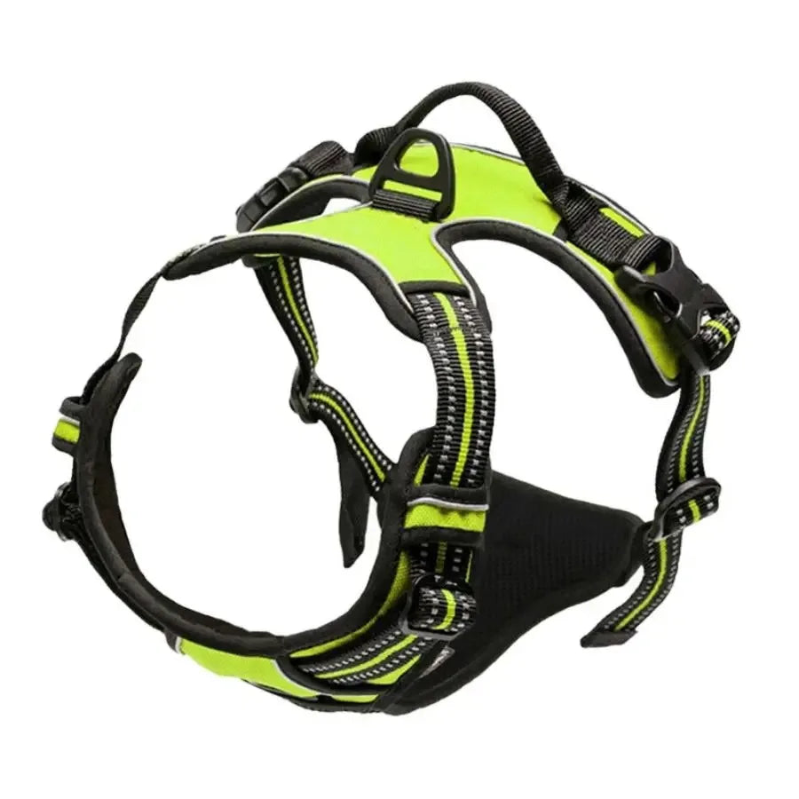 dog harness