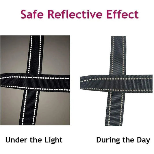 reflector dog collar
