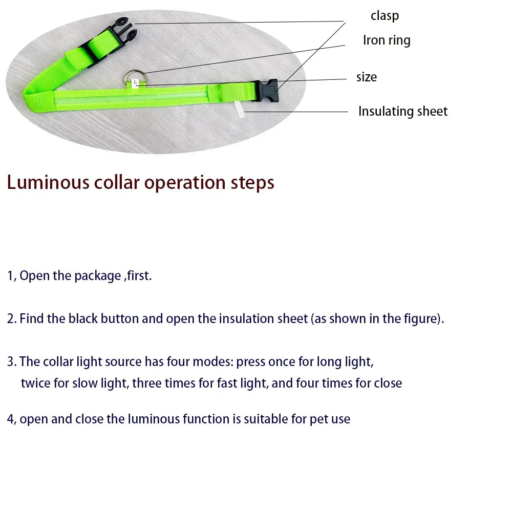 LED Nylon Dog Leash & Collar – Glow-in-the-Dark Safety for Night Walks