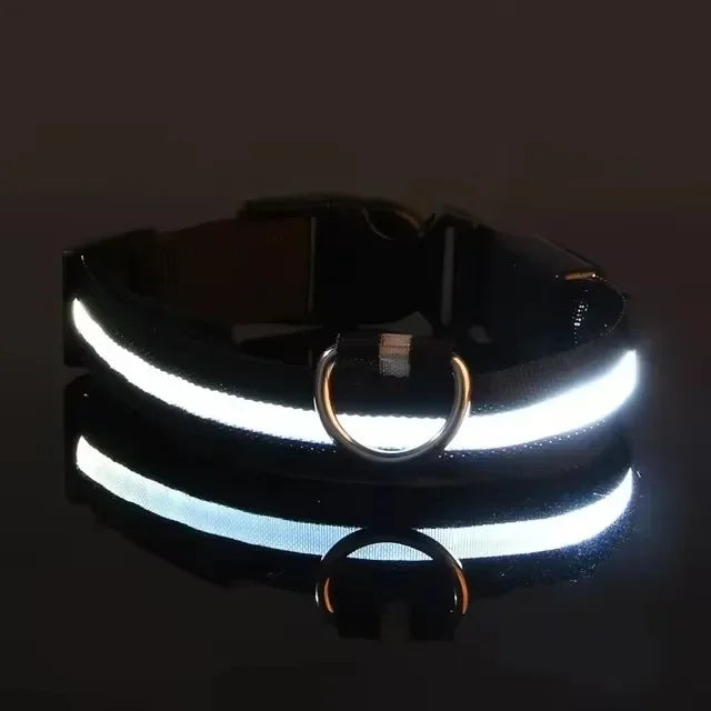 LED Nylon Dog Leash & Collar – Glow-in-the-Dark Safety for Night Walks