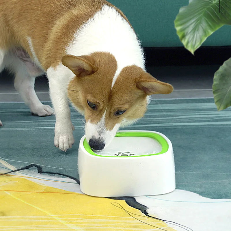 non spill pet water bowl