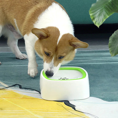 non spill pet water bowl