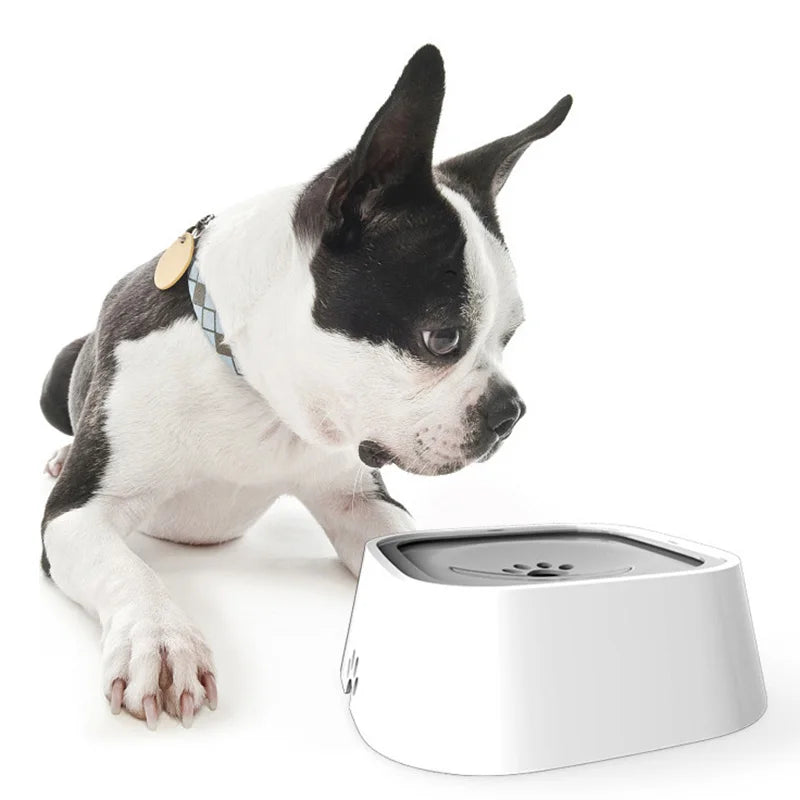 non spill pet water bowl