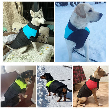 dog waterproof vest jacket