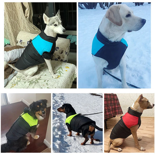 dog waterproof vest jacket