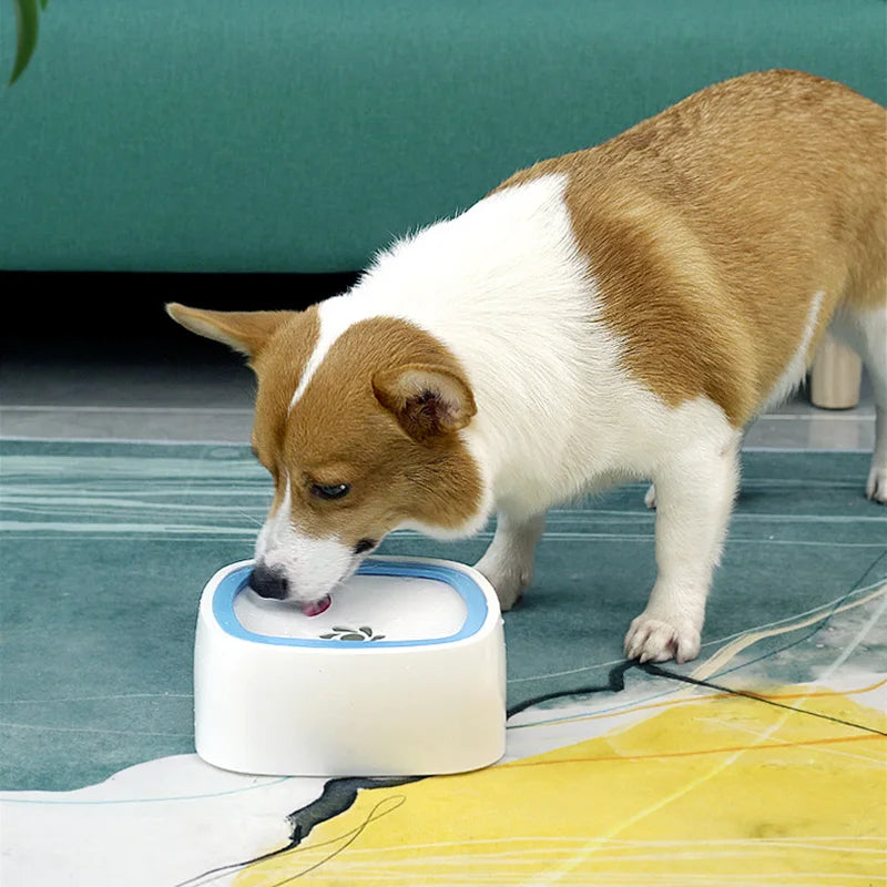 non spill pet water bowl