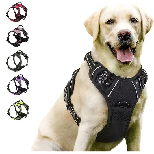 dog harness