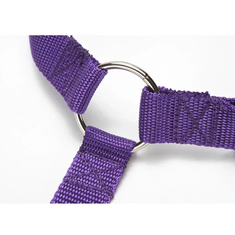 pet seat belt