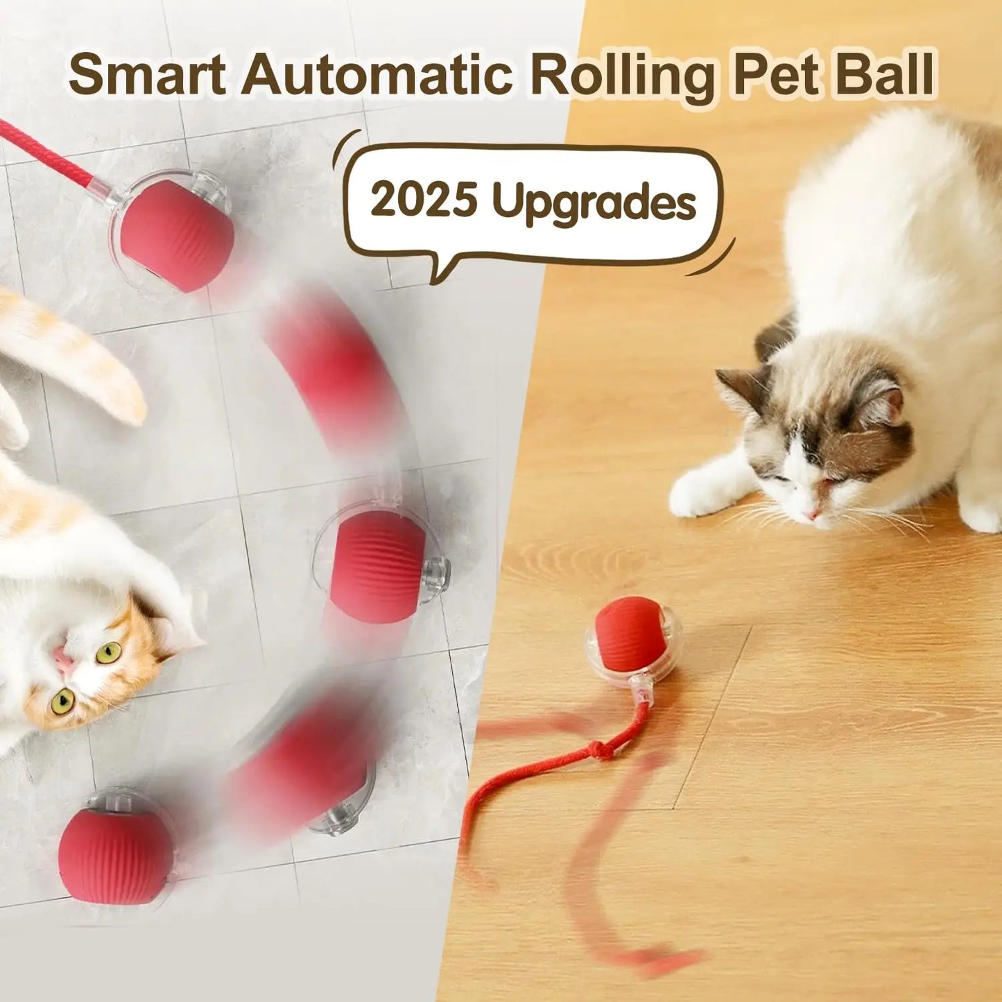 cat toy