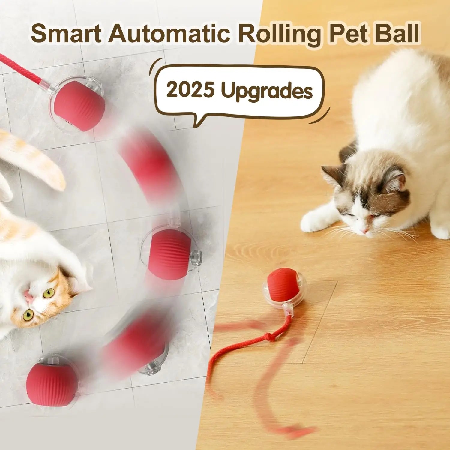 cat toy