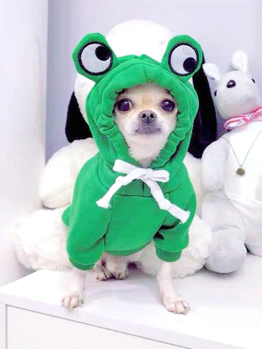 pet sweater