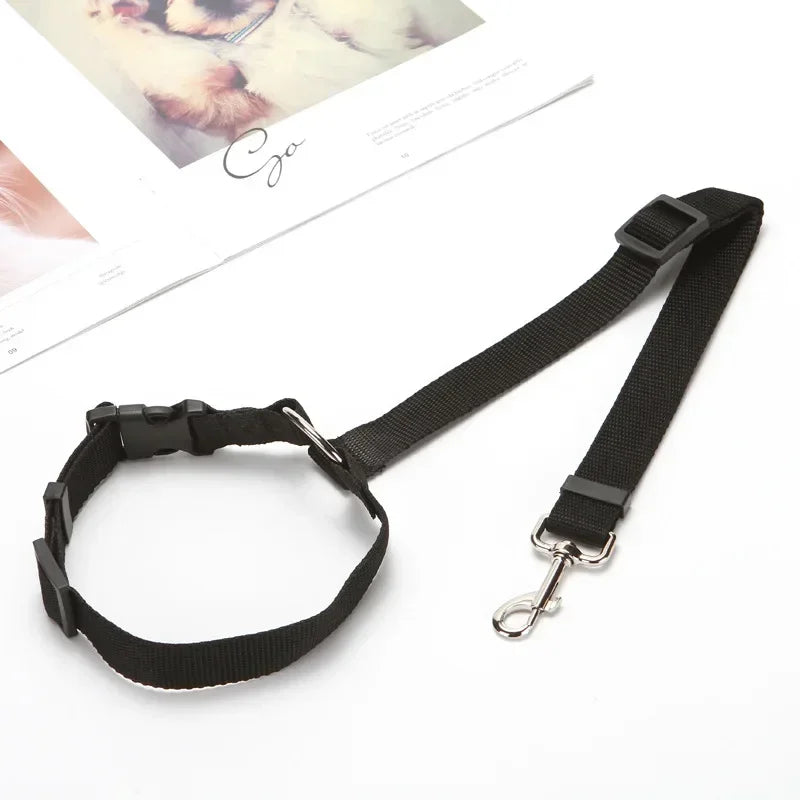 pet seat belt