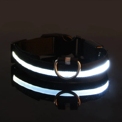 LED Dog Leash – Glow in the Dark Safety Collar