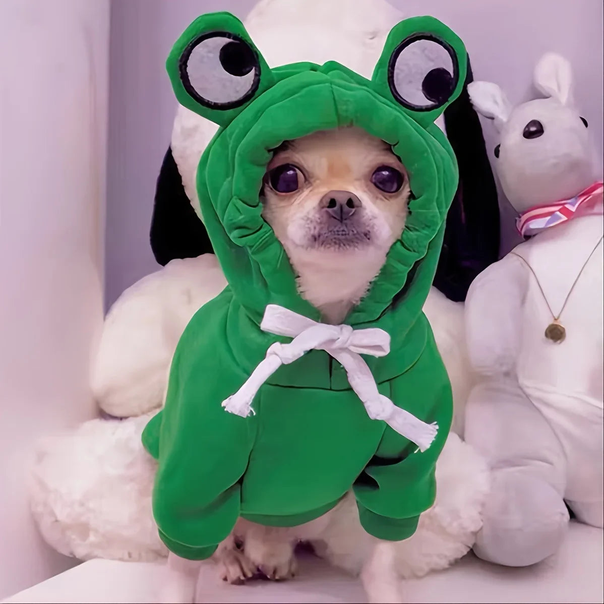 Cute Frog Hoodie for Small Dogs & Cats – Soft Fleece Winter Sweatshirt