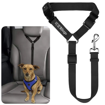 pet seat belt