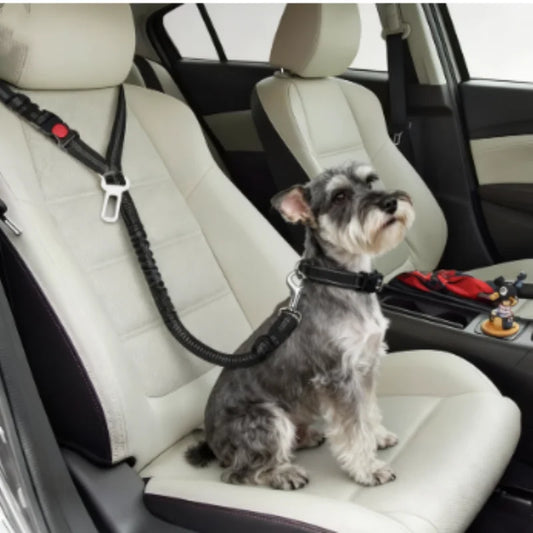 Dog Car Seat Belt & Leash – Adjustable Pet Travel Safety Strap