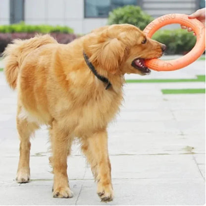 Orange Dog Training Ring – Durable EVA Flying Disk Puller Toy for Interactive Play & Exercise