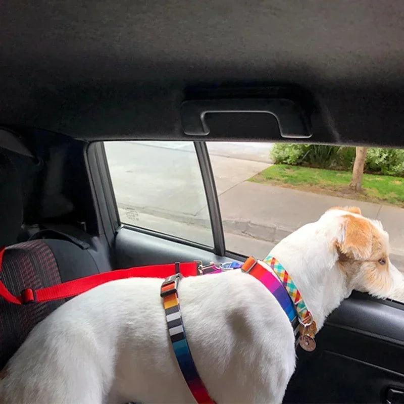 pet seat belt