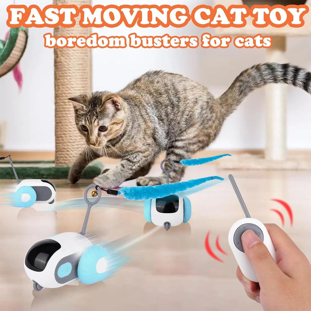cat toy