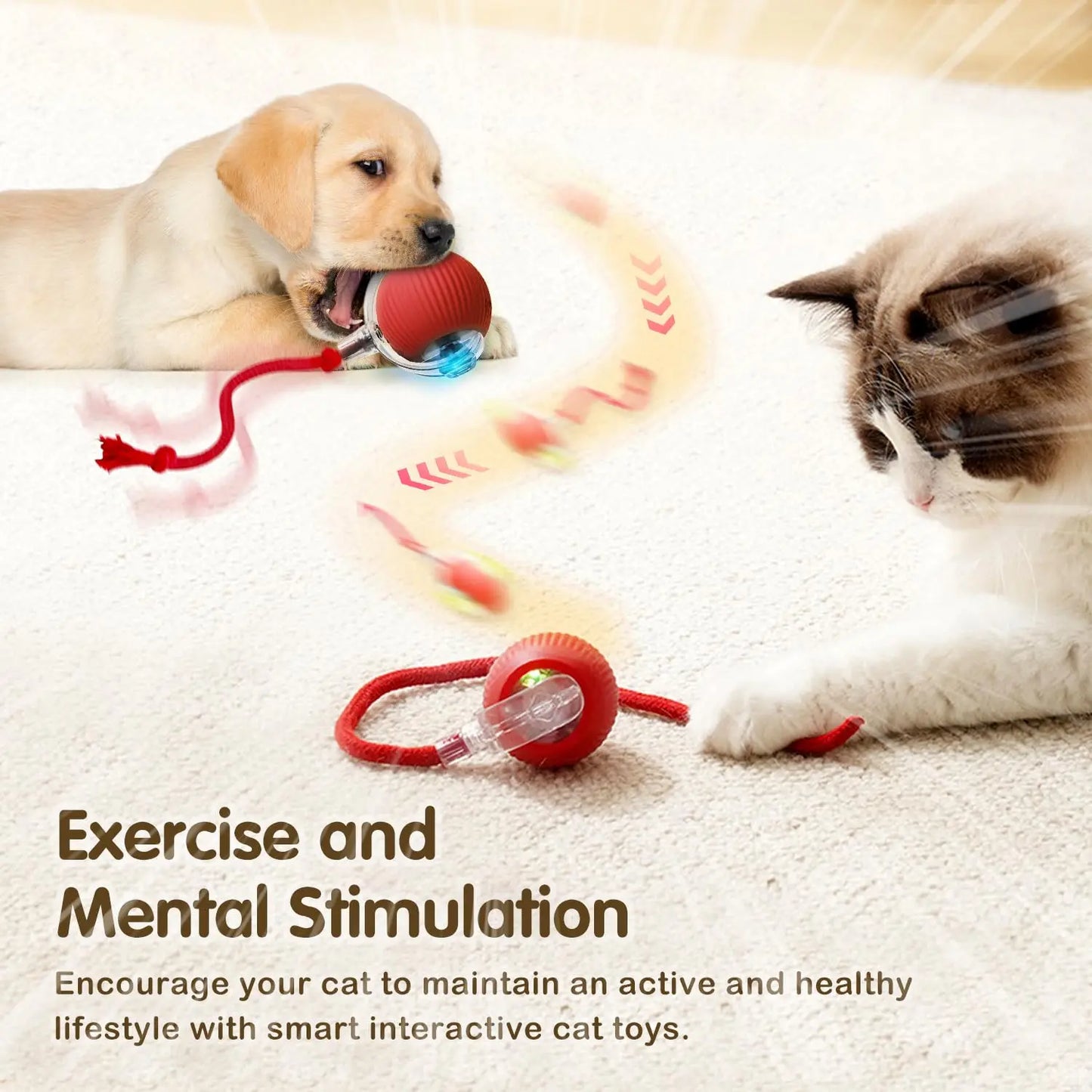 cat toy