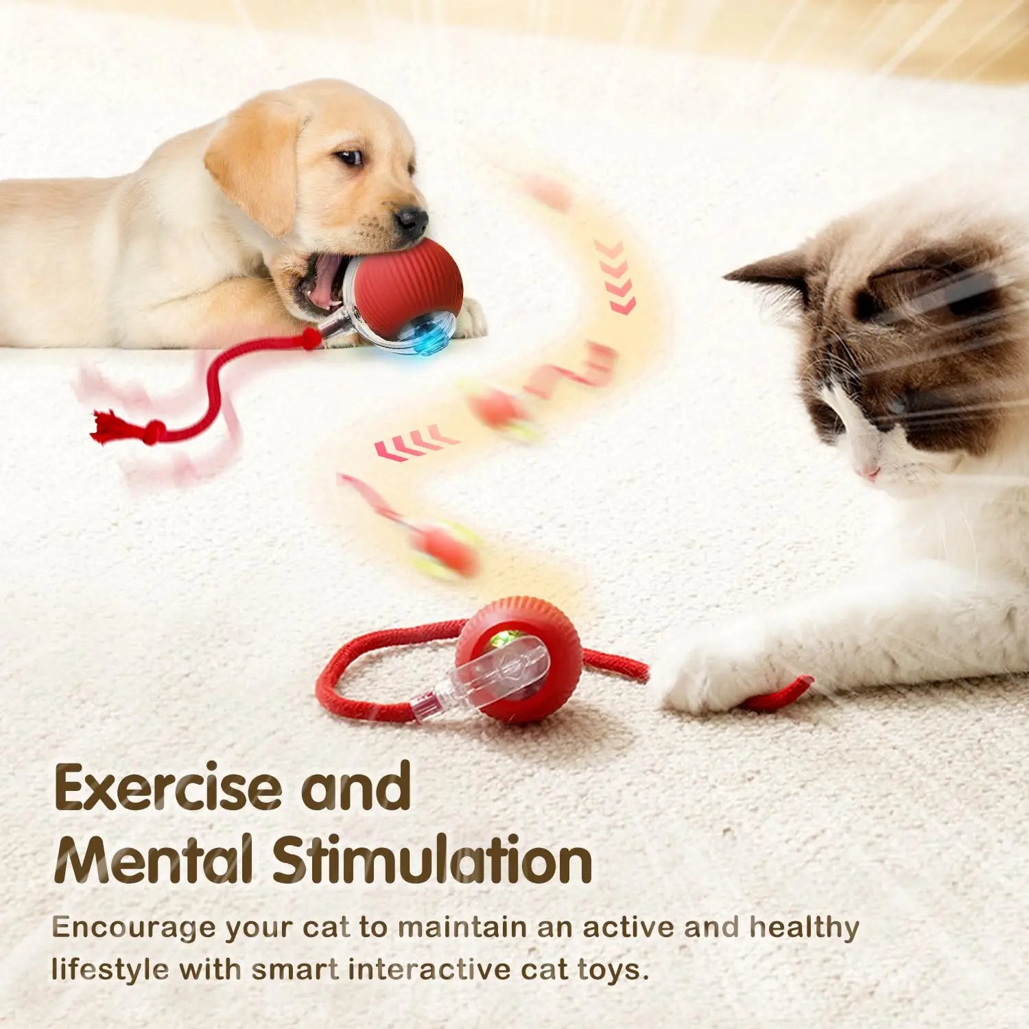 cat toy