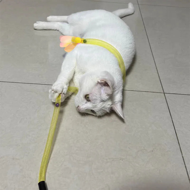 cat toy