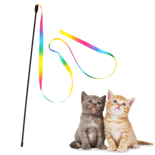 cat toy