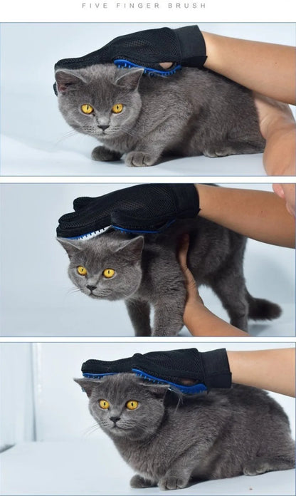 pet grooming cleaning glove