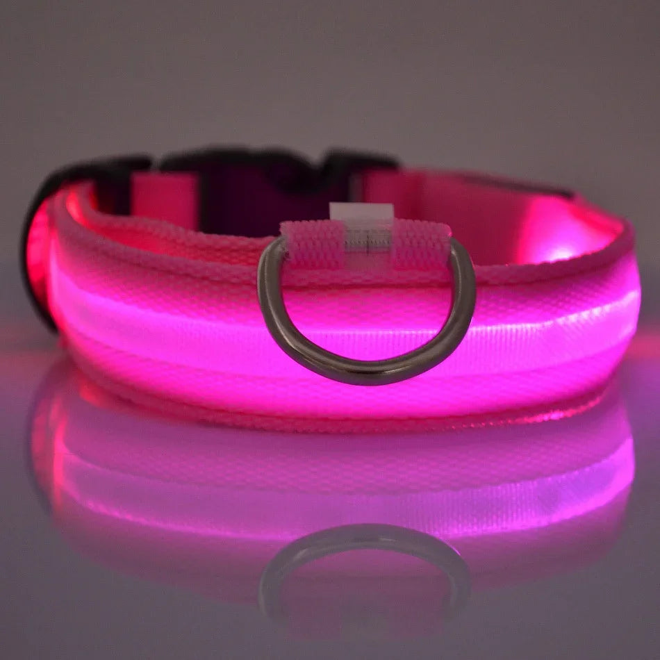 LED Nylon Dog Leash & Collar – Glow-in-the-Dark Safety for Night Walks