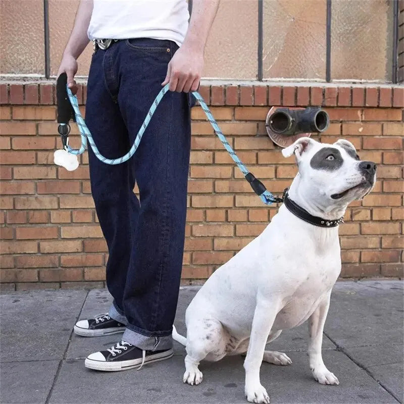 Heavy Duty Dog Leash – Reflective with Comfort Grip