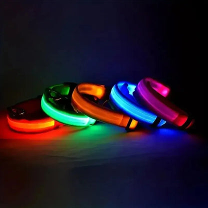 LED Nylon Dog Leash & Collar – Glow-in-the-Dark Safety for Night Walks