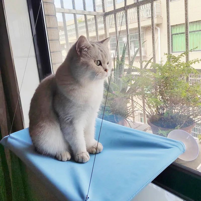 Cat Window Hammock Bed – supports up to 20kg