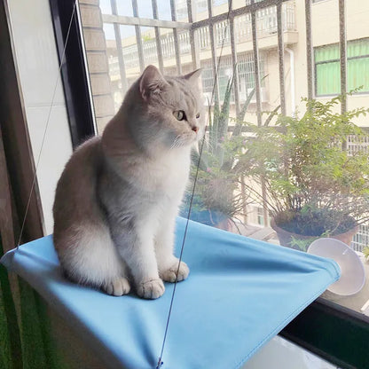 Cat Window Hammock Bed – supports up to 20kg