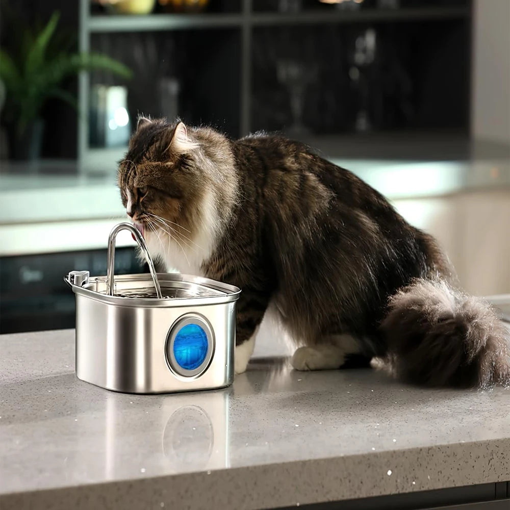 3.2L Stainless Steel Pet Water Fountain – Auto Cat & Dog Dispenser