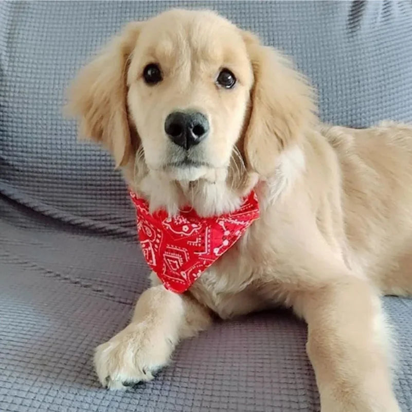 Adjustable Dog Bandana Collar | Stylish Scarf for Dogs & Cats
