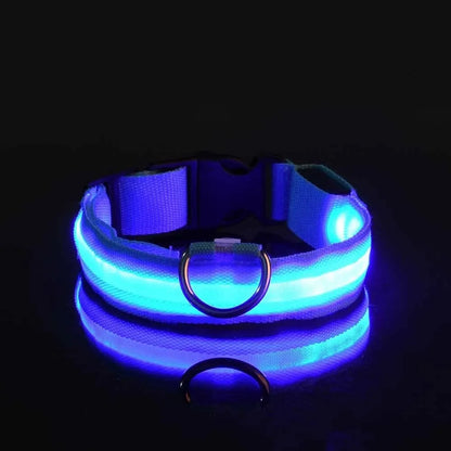 LED Nylon Dog Leash & Collar – Glow-in-the-Dark Safety for Night Walks