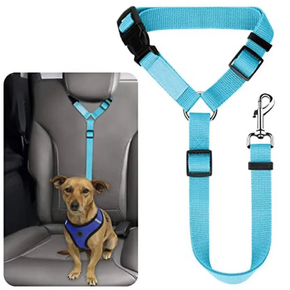 pet seat belt