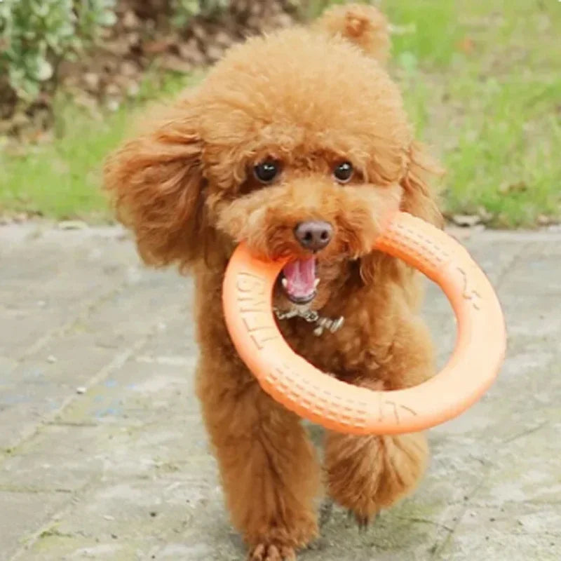 Orange Dog Training Ring – Durable EVA Flying Disk Puller Toy for Interactive Play & Exercise