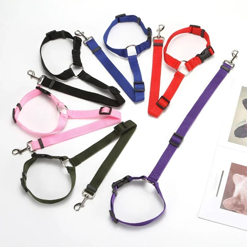 pet seat belt