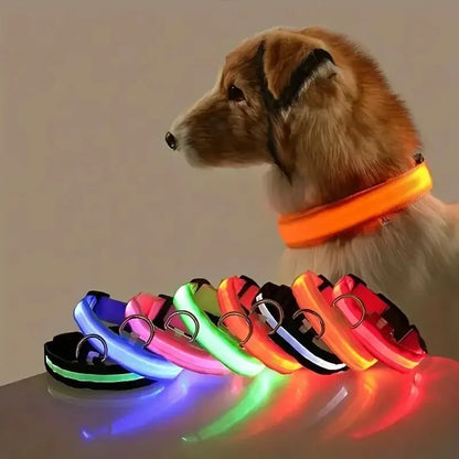 LED Nylon Dog Leash & Collar – Glow-in-the-Dark Safety for Night Walks