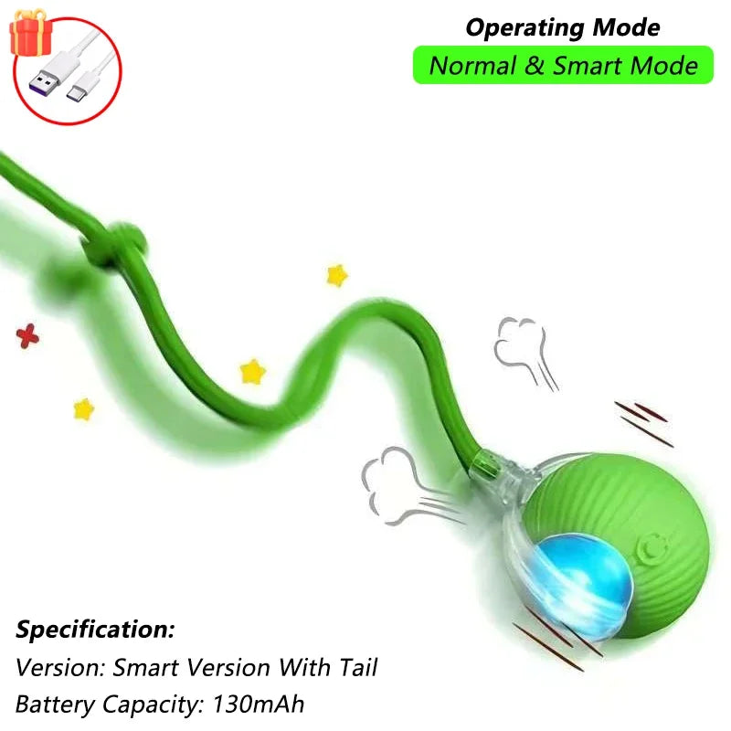 cat toy
