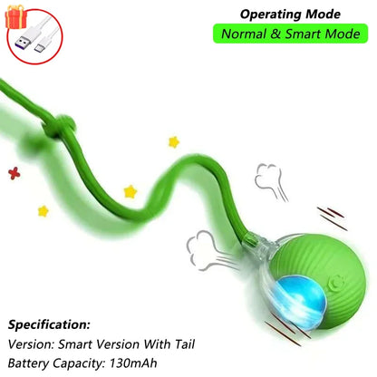 cat toy