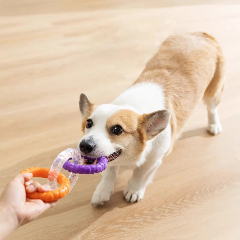 Durable Dog Pull Ring Toy – Bite-Resistant Chew & Training Ring for Active Dogs