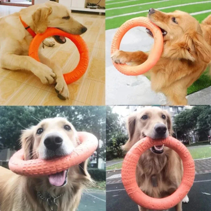 Orange Dog Training Ring – Durable EVA Flying Disk Puller Toy for Interactive Play & Exercise