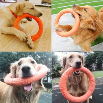 Orange Dog Training Ring – Durable EVA Flying Disk Puller Toy for Interactive Play & Exercise