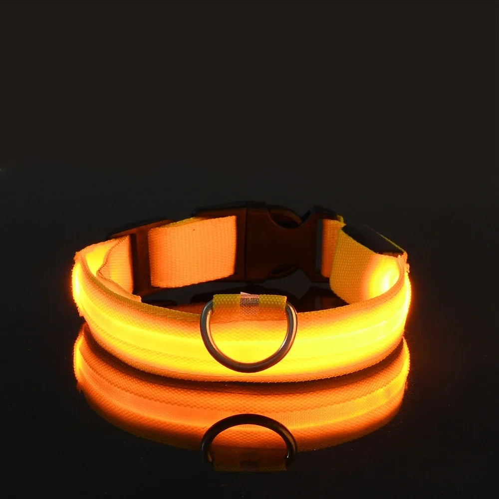 LED Nylon Dog Leash & Collar – Glow-in-the-Dark Safety for Night Walks
